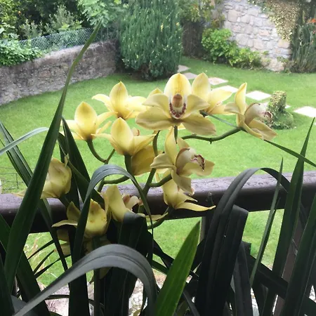 Amazing Regadas Farm House Vila Braga
